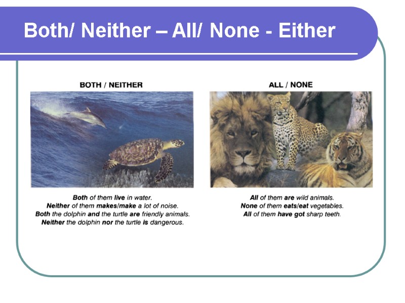 Both/ Neither – All/ None - Either